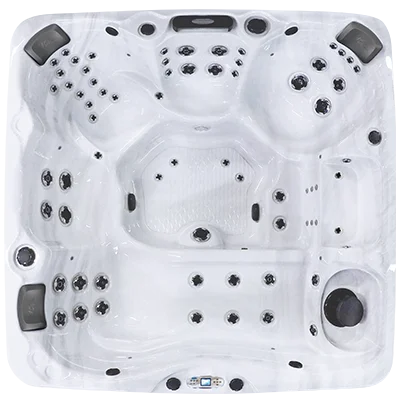Avalon EC-867L hot tubs for sale in Hollywood
